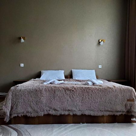 Kazbegi Guest House エクステリア 写真